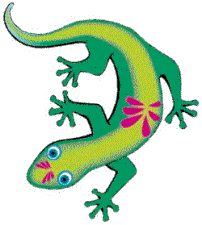 The Curious Gecko