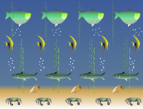 Click Here to View a Larger
                  Version.