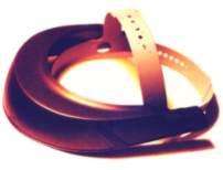 Click Here to View a
                  Larger Version.