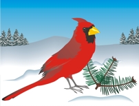 Click here to see a larger
                  version.