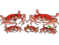 Click here to see a larger image