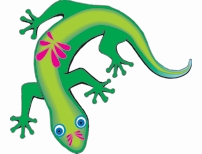 The Curious Gecko
