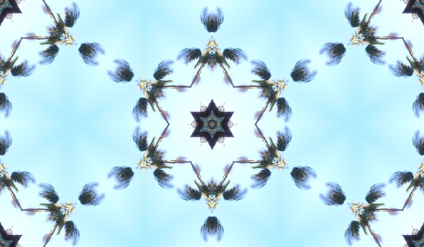 Hotel Del Hex II Tile