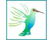 Click Here to View a
                  Larger Version.